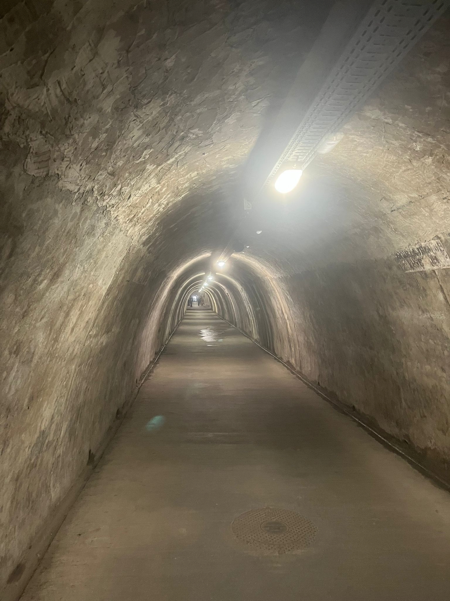 👉Read the new Blog written by Tommaso, EDS student
‼Guide for a long weekend in Zagreb, Croatia‼
🖊How did I get there?
One of the best parts of studying at our university is how international Prague is. You can meet people from all over the world, often in unexpected ways. In my first weeks here, my American roommate and I were hopping between pubs around the city, a great way to meet new friends, especially Czech ones. One particular night we met a group of people who later became our friends. One of them, that I met by chance that night out, invited me to Zagreb and offered to host me.
To go from Prague to Zagreb I booked a night FlixBus🚌, a cheap, reliable but slow way to travel… nine hours in total. In the summer season there’s actually a faster (and even cheaper) option to travel there, a direct Prague to Zagreb flight. For the rest of the year the bus is your only budget choice if you want to go to Zagreb. It was a Thursday, after classes; I went to Prague Main Station to catch my bus to Zagreb. I fell asleep in the Czech Republic and woke up already in Croatia.
👉Read the whole blog at our webpage, more information in bio.
#fisbachelor #studentsblog #askstudents #livinginprague #greatcity #studentlife #exploreeurope @vseinternationalstudents