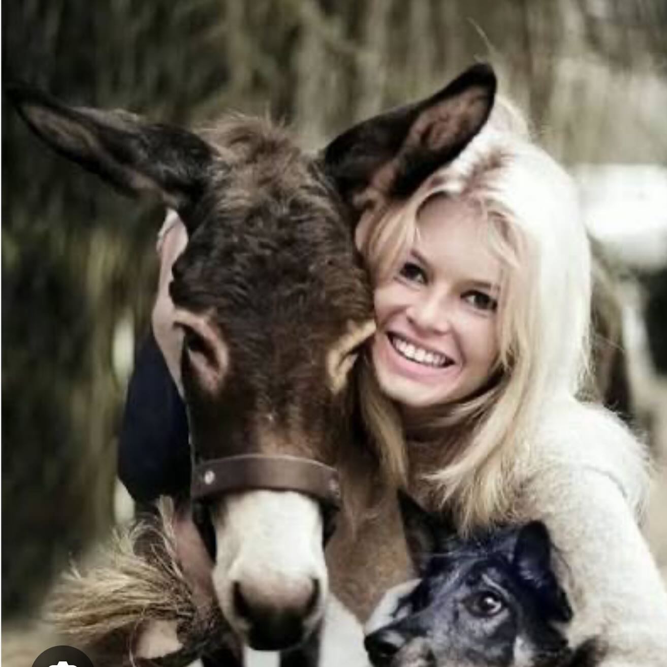 Zemřela Brigitte Bardot🖤🕊️
Neúnavná bojovnice za lepší život zvířat. Svou slávu využívala k tomu, aby veřejně bojovala proti každému zneužívání a týrání zvířat, o němž se dozvěděla. I když to někdy znamenalo trestní oznámení, výsměch, urážky a výhružky. Nikdy neustoupila. Naopak.
Dávala svůj hlas, čas, energii a život těm, ke kterým se chováme globálně zvráceně krutě a arogantně - zvířatům. Někdy stála sama proti společnosti a sytému.
A ukázala, že soucit je proklatě sexy!
Svět ztratil ikonu dobra a bojovnici za lepší život pro všechny živé tvory💔
Děkujeme Vám, paní Brigitte🙏🏻
Odpočívejte v pokoji. Čest Vaší památce.
#vsichnimamejednosrdce