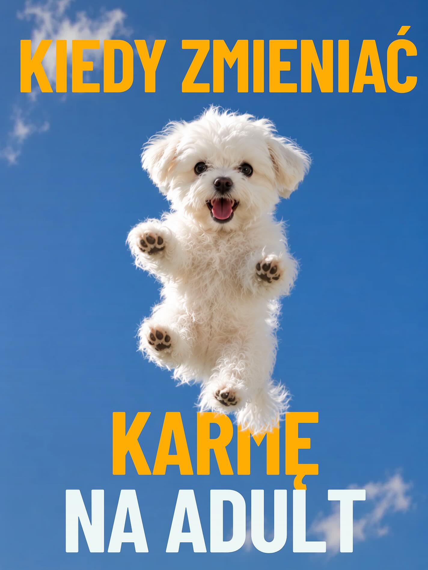 Szczeniaki rosną szybciej, niż człowiek zdąży się przyzwyczaić do tych małych łap 🐾🥹
I właśnie dlatego warto dobrze wyczuć moment przejścia na karmę adult.
Bo karma dla szczeniaka i karma dla dorosłego psa to nie jest „to samo, tylko inna paczka” 👀
Szczeniak potrzebuje:
🥩 więcej kalorii do wzrostu
🦴 więcej składników wspierających kości i rozwój
⚡️ więcej energii
Ale w pewnym momencie organizm psa zaczyna potrzebować już czegoś innego.
W karuzeli pokazaliśmy:
🐾 kiedy zwykle zmienia się karmę
🐾 po czym poznać właściwy moment
🐾 jak zrobić to spokojnie i bez sensacji żołądkowych
📌 Zapisz na później, na pewno się przyda.
A jeśli nie wiesz, którą karmę adult wybrać dla swojego psa, odezwij się do nas 🧡
Pomożemy dobrać coś sensownego do wieku, wielkości i potrzeb Twojego futrzaka.