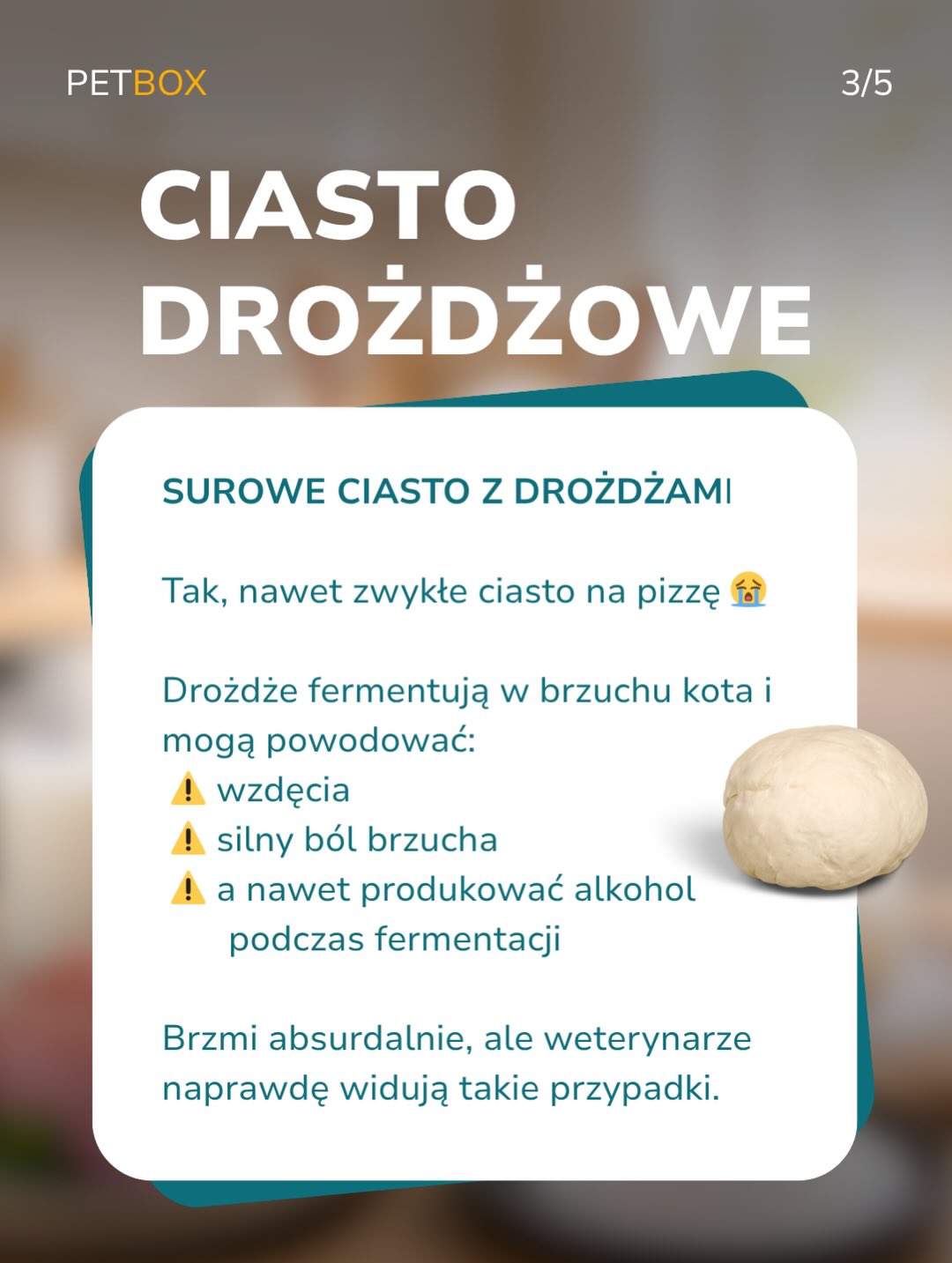 Niektóre produkty trafiają do kociej miski tylko dlatego, że „przecież zawsze się tak robiło”.
Mleko.
Surowa ryba.
„Tylko odrobina”.
Problem w tym, że koty nie zawsze odróżniają, co jest dla nich okej, a co może im zaszkodzić.
Dlatego całe bezpieczeństwo ich miski jest trochę w naszych rękach.
📌 Zapisz ten post, żeby mieć pod ręką listę produktów, na które warto uważać przy gotowaniu, zakupach albo zostawianiu jedzenia na blacie