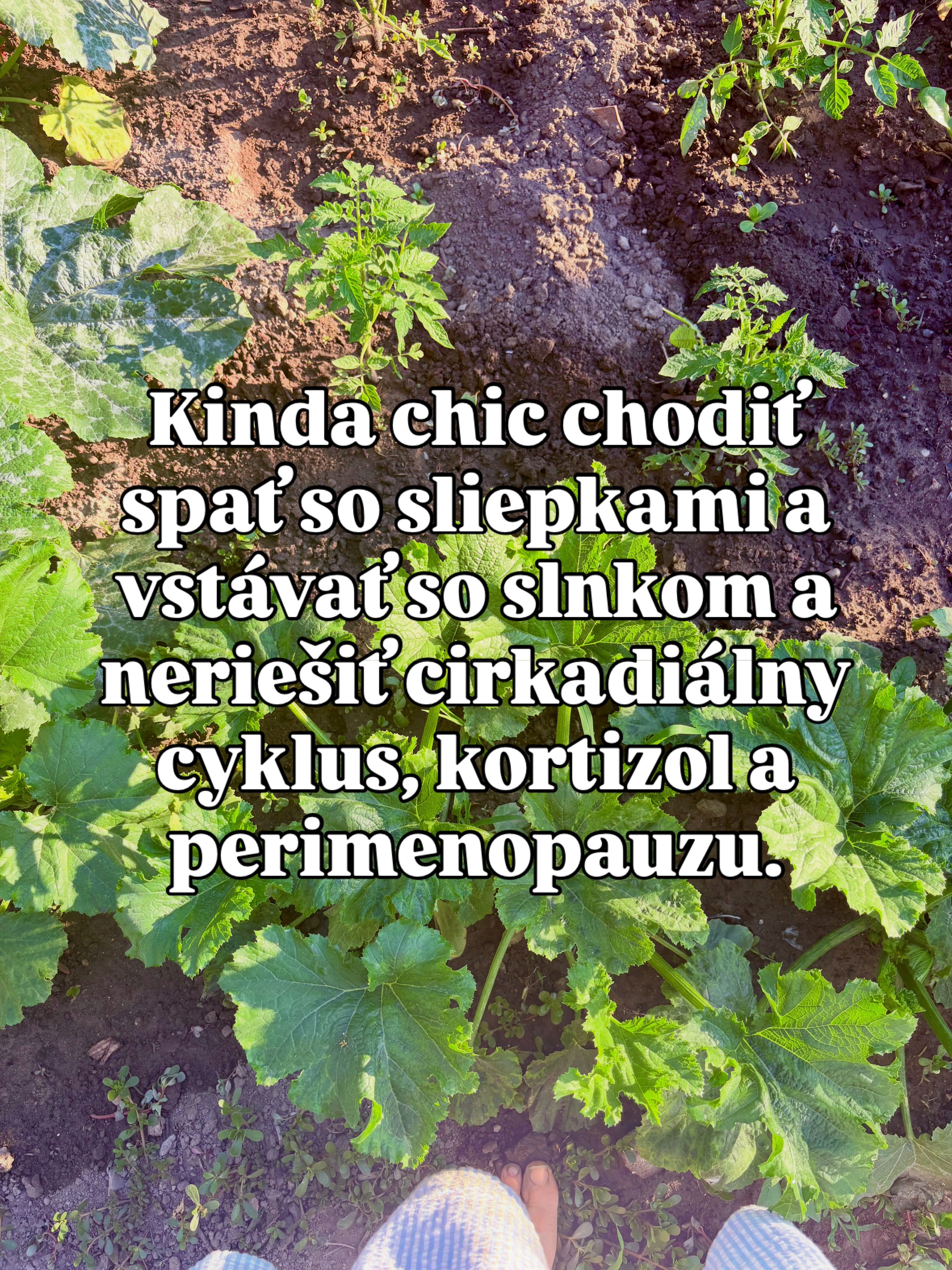 Strašne sa mi páči tento ig trend. Lepšie ako trochu unavené a ustráchané #gratitute a #blessings 🫶. Všetci žijeme kinda chic život 🙌 Čo je vaše kinda chic?