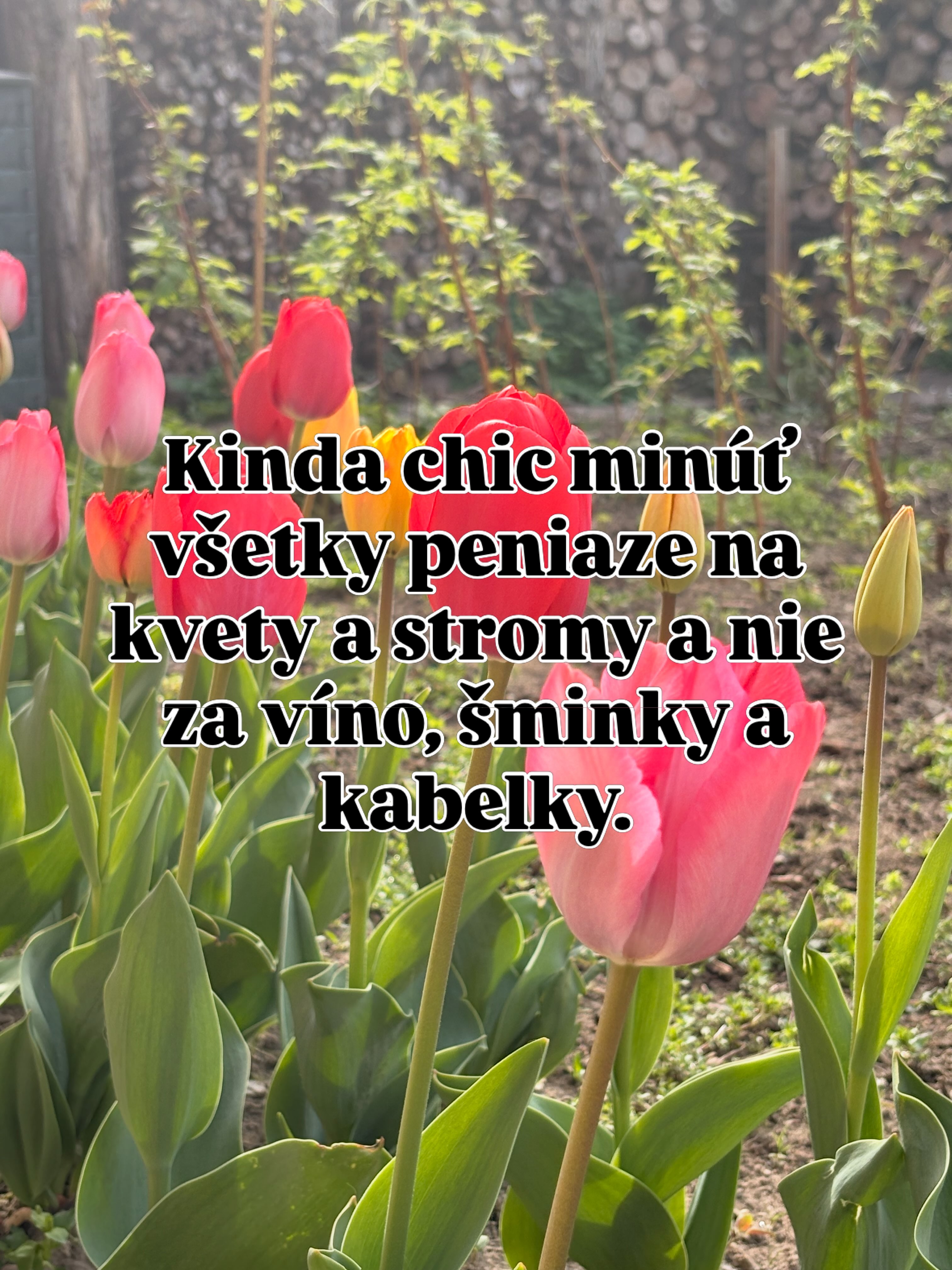 Strašne sa mi páči tento ig trend. Lepšie ako trochu unavené a ustráchané #gratitute a #blessings 🫶. Všetci žijeme kinda chic život 🙌 Čo je vaše kinda chic?
