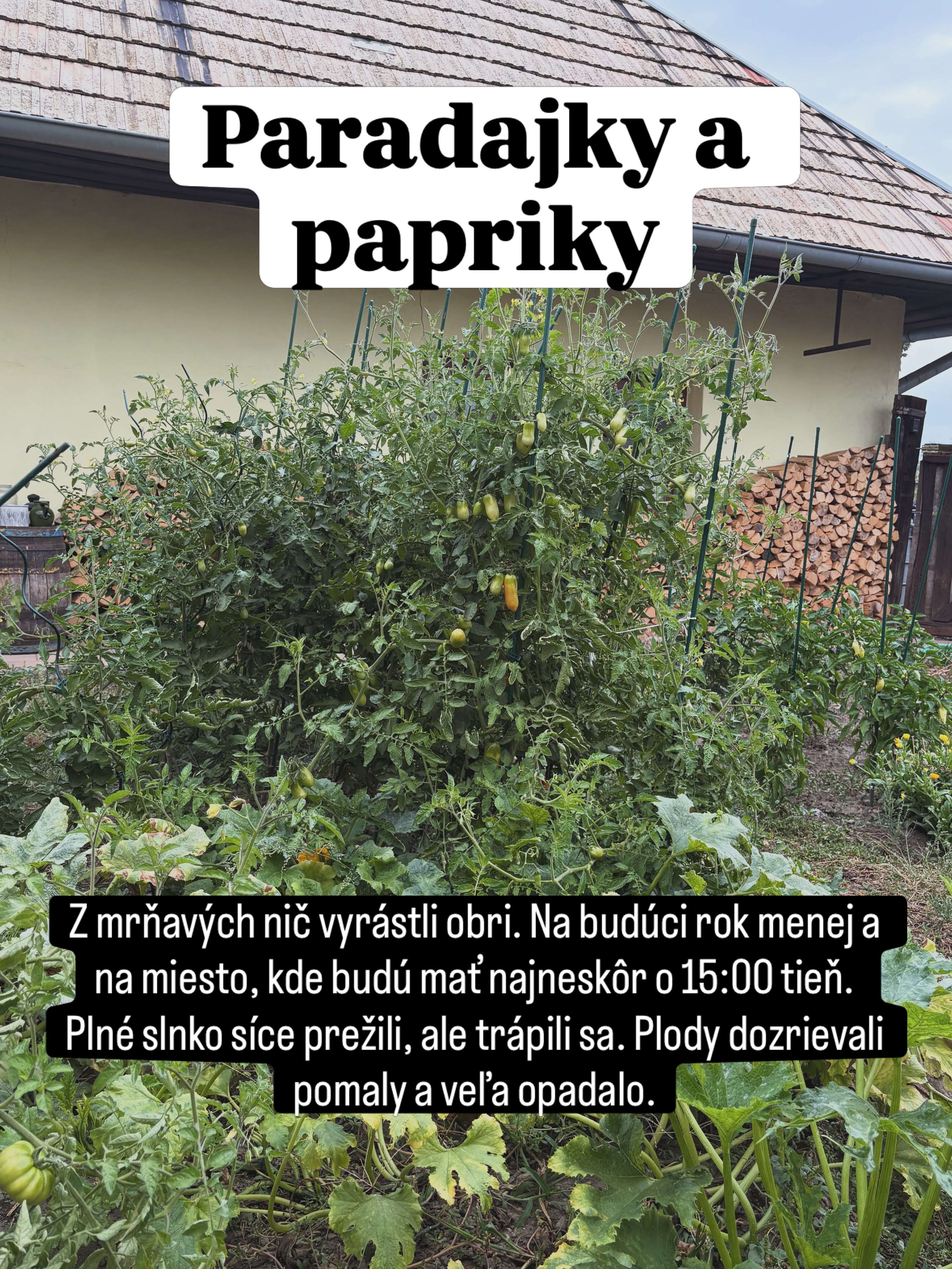 #tesmackydvor #zahrada #kvety #klima #sucho