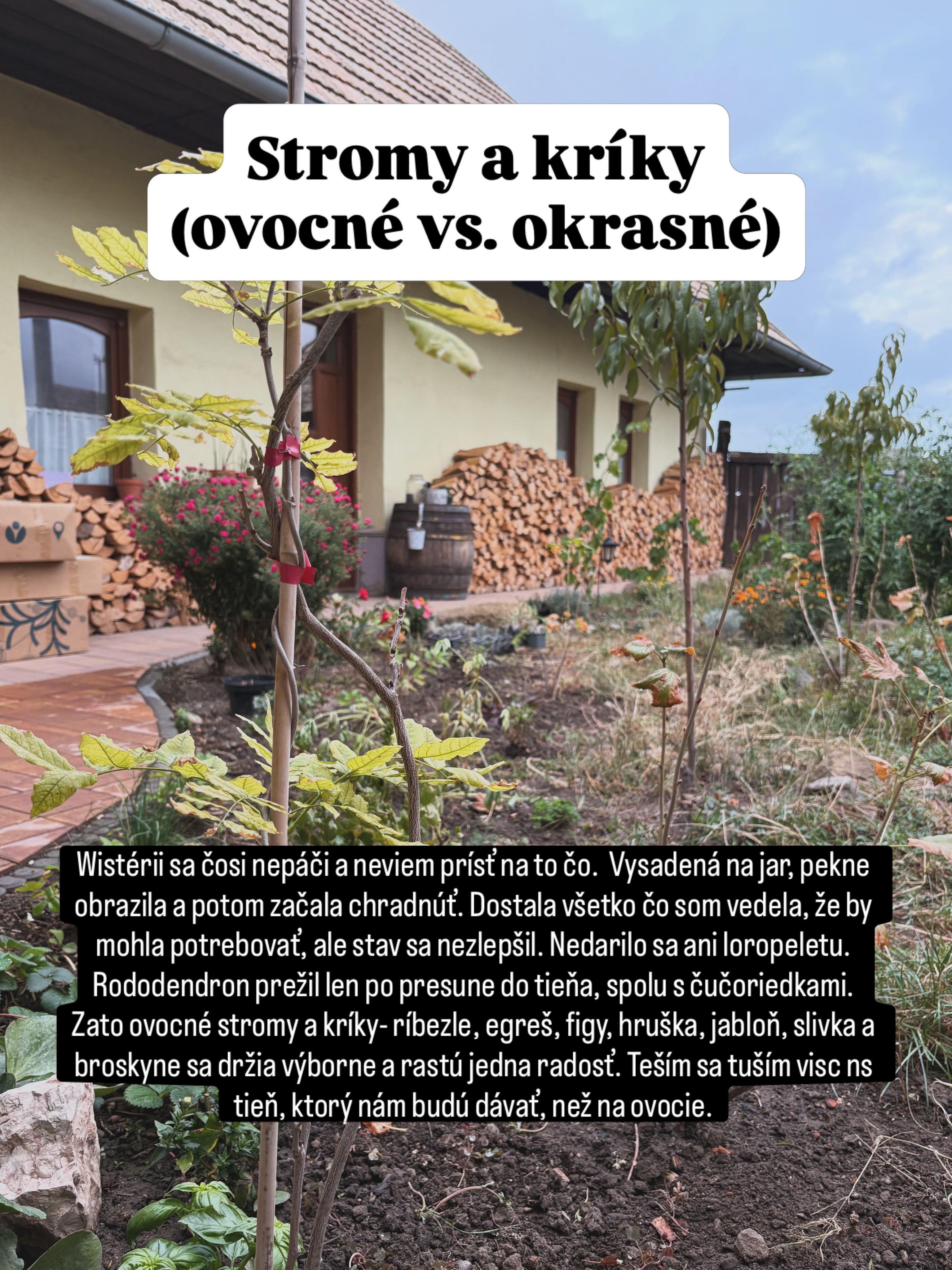 #tesmackydvor #zahrada #kvety #klima #sucho