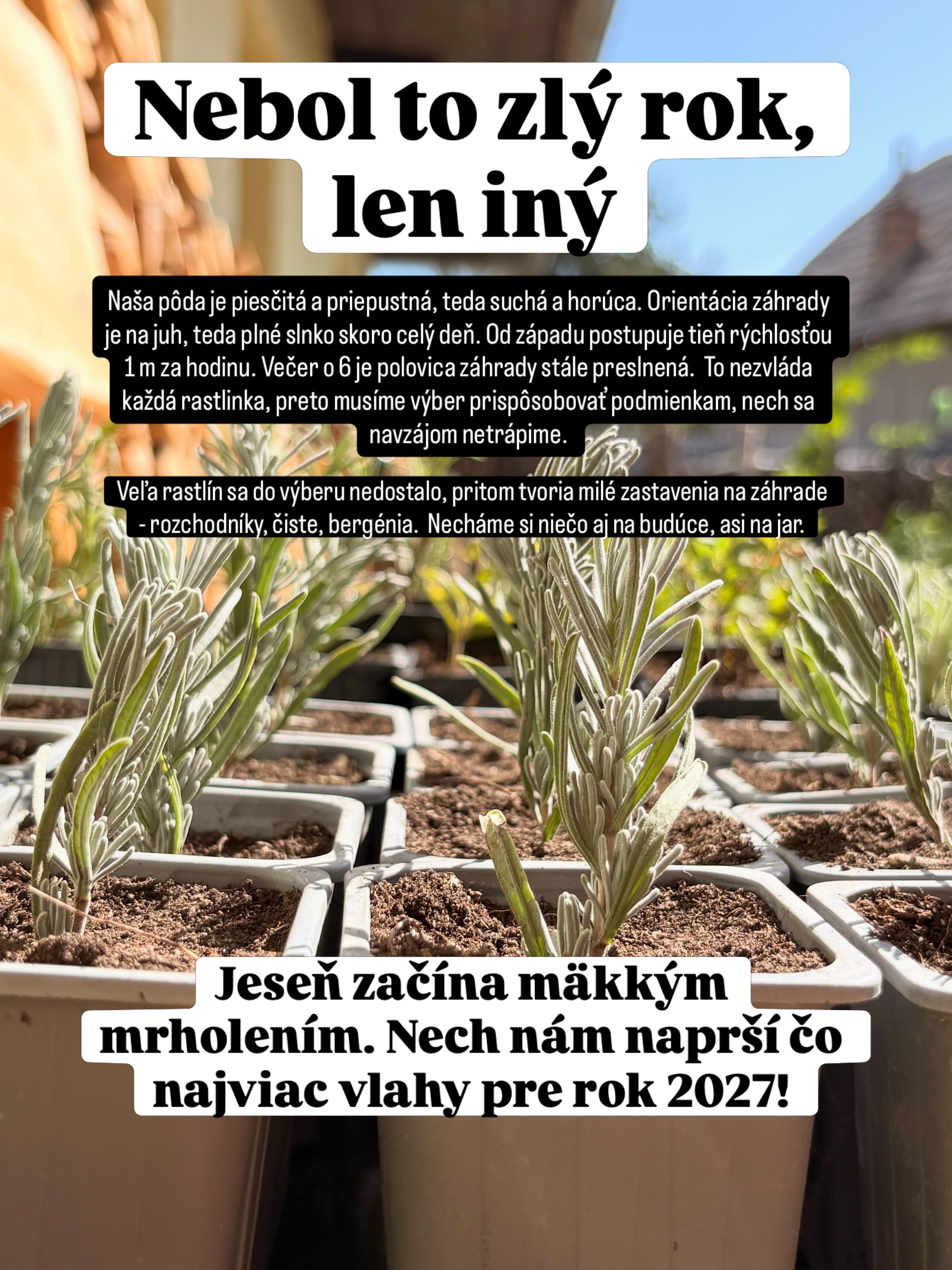 #tesmackydvor #zahrada #kvety #klima #sucho